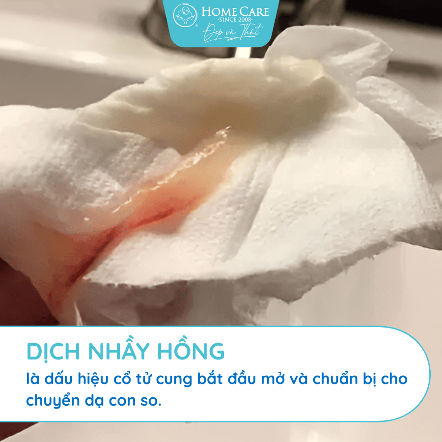 chuyen-da-con-so