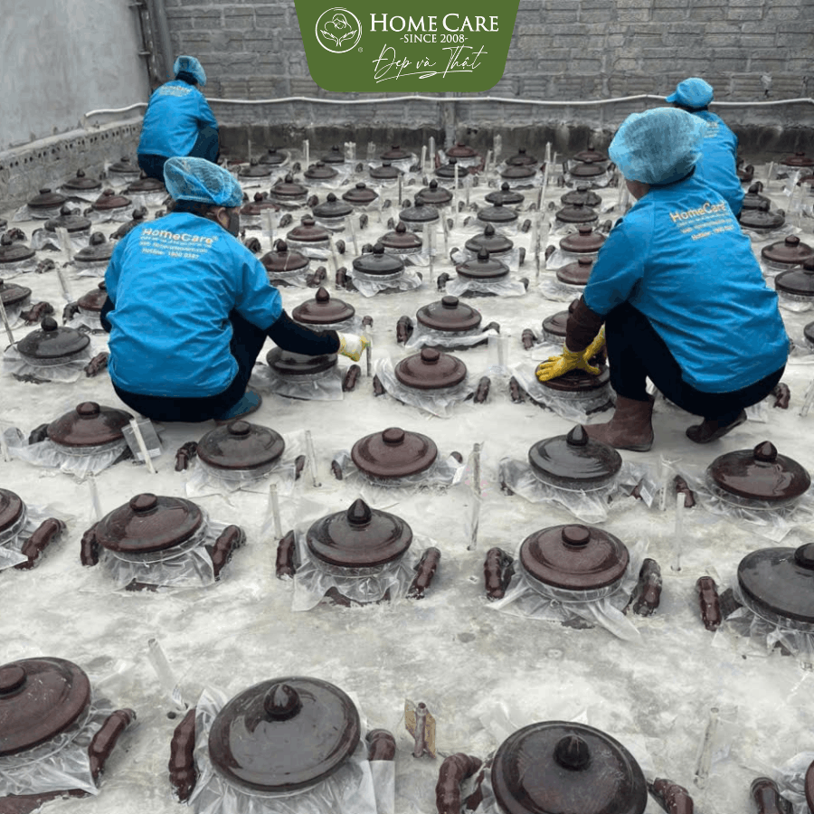 nuoc-cot-gung-ha-tho-homecare-tam-be-cham-soc-me-sau-sinh-a3