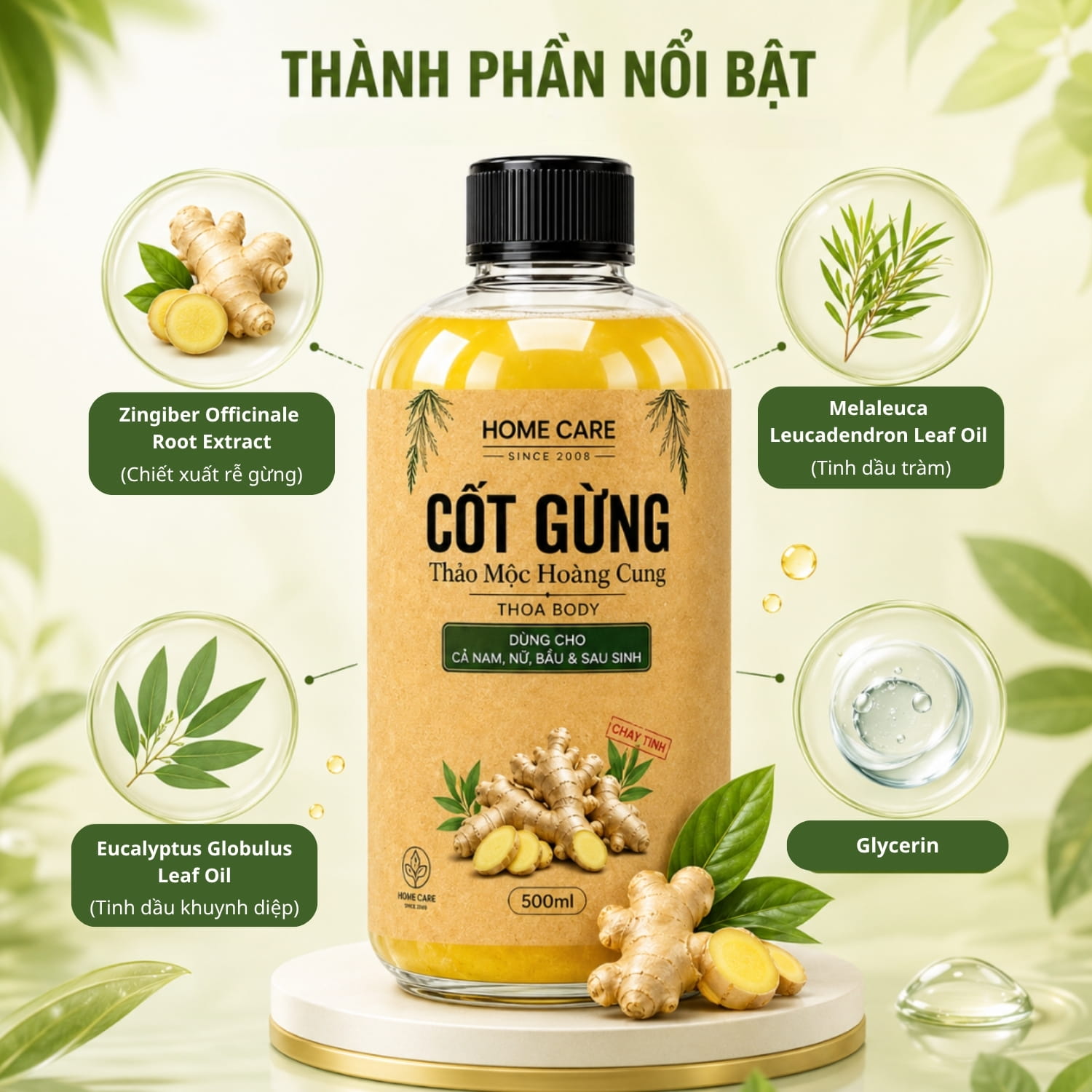 thanh-phan-cot-gung-thao-moc-hoang-cung