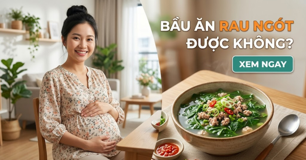Bầu ăn rau ngót được không? Hướng dẫn an toàn cho từng tháng thai kỳ