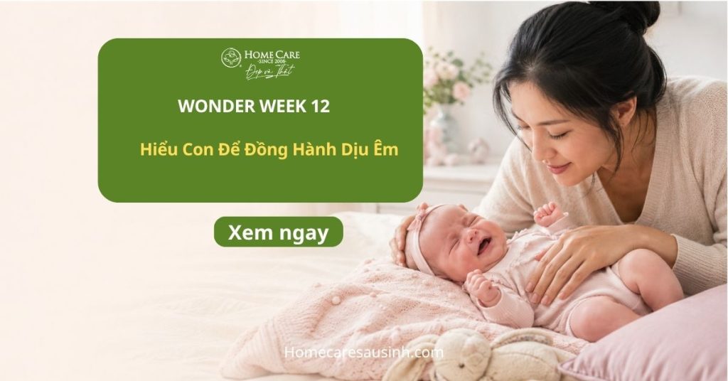 Wonder Week 12 là gì? Dấu hiệu và cách vượt qua tuần wonder week 12 Wonder Week 12 là gì? Dấu hiệu và cách vượt qua tuần wonder week 12
