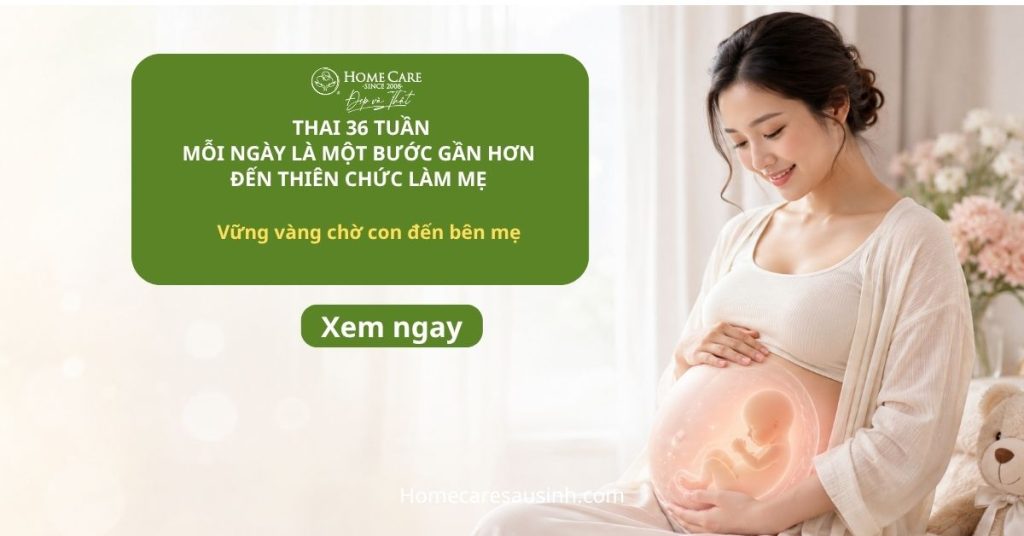 Thai 36 tuần: Bé phát triển thế nào và mẹ cần lưu ý gì trước ngày sinh? Thai 36 tuần: Bé phát triển thế nào và mẹ cần lưu ý gì trước ngày sinh?