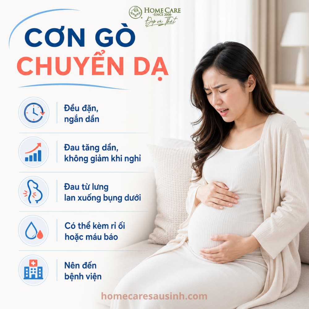 Cơn gò chuyển dạ