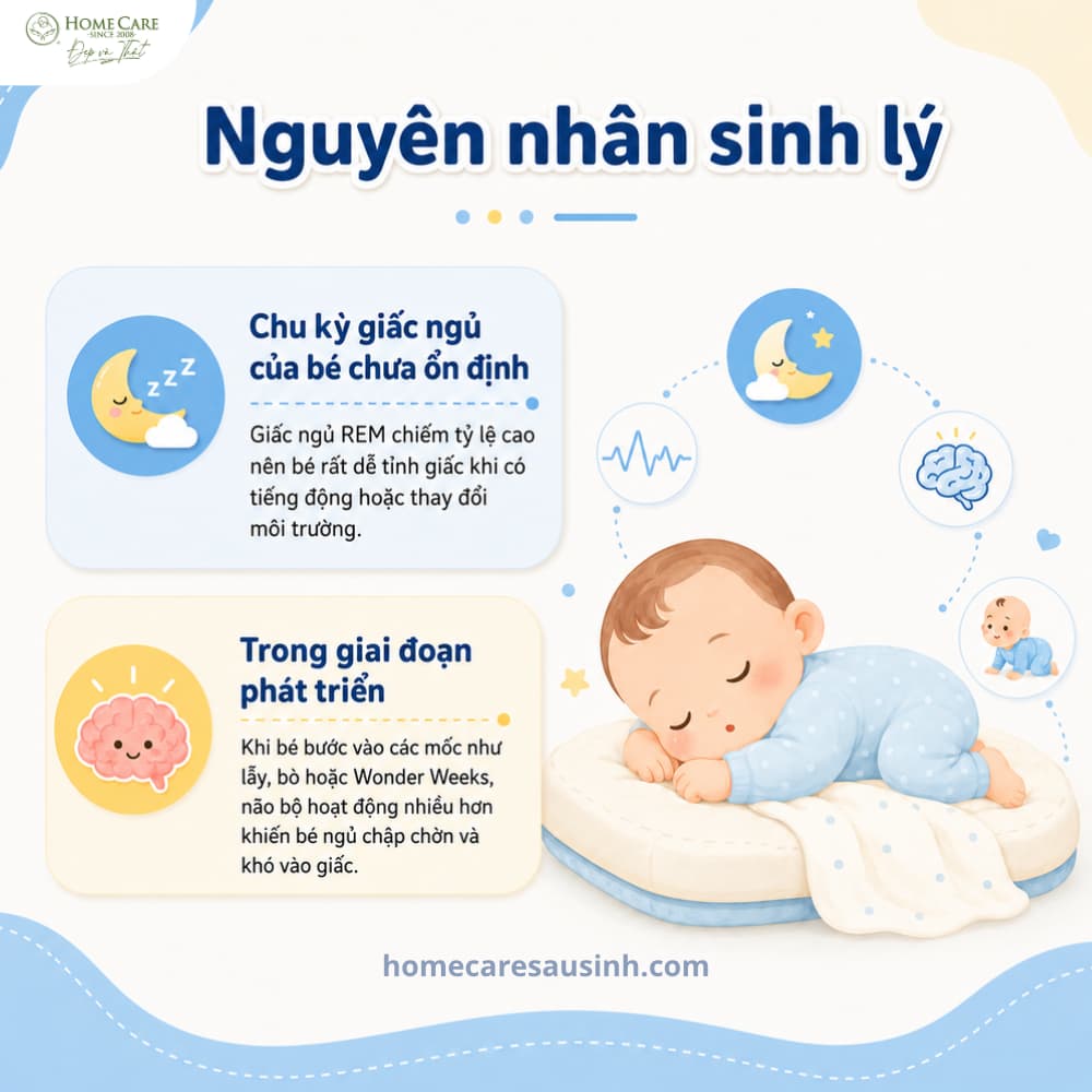 Nguyên nhân sinh lý khiến trẻ sơ sinh ngủ không sâu giấc