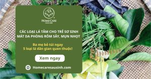 Top 5 loại lá tắm cho trẻ sơ sinh mát da phòng rôm sảy, mụn nhọt hiệu quả ba mẹ bỏ túi ngay! Top 5 loại lá tắm cho trẻ sơ sinh mát da phòng rôm sảy, mụn nhọt hiệu quả ba mẹ bỏ túi ngay!
