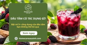 Dâu tằm có tác dụng gì? Bật mí 5+ công dụng của dâu tằm bạn không thể bỏ qua Dâu tằm có tác dụng gì? Bật mí 5+ công dụng của dâu tằm bạn không thể bỏ qua