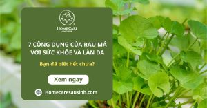 7 Công dụng của rau má với sức khỏe và làn da: Bạn đã biết hết chưa?