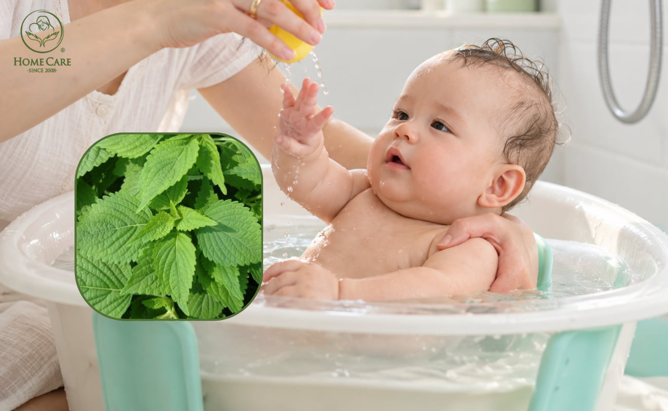 Hướng dẫn cách nấu và tắm lá kinh giới cho bé đúng chuẩn, an toàn