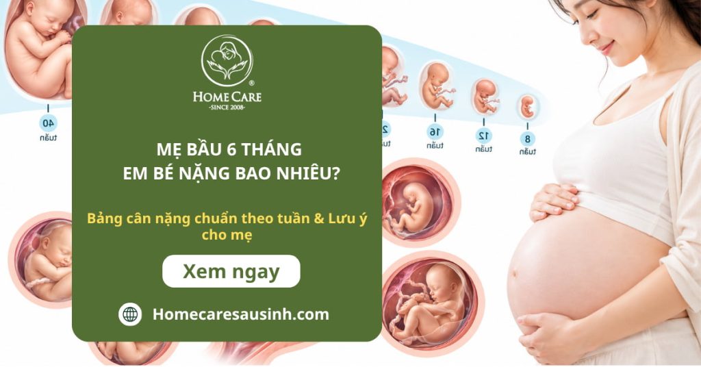 Mẹ bầu 6 tháng em bé nặng bao nhiêu? Bảng cân nặng chuẩn theo tuần & Lưu ý cho mẹ Mẹ bầu 6 tháng em bé nặng bao nhiêu? Bảng cân nặng chuẩn theo tuần & Lưu ý cho mẹ